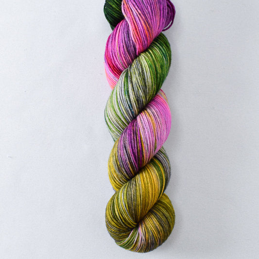 Finlay - Miss Babs Putnam yarn