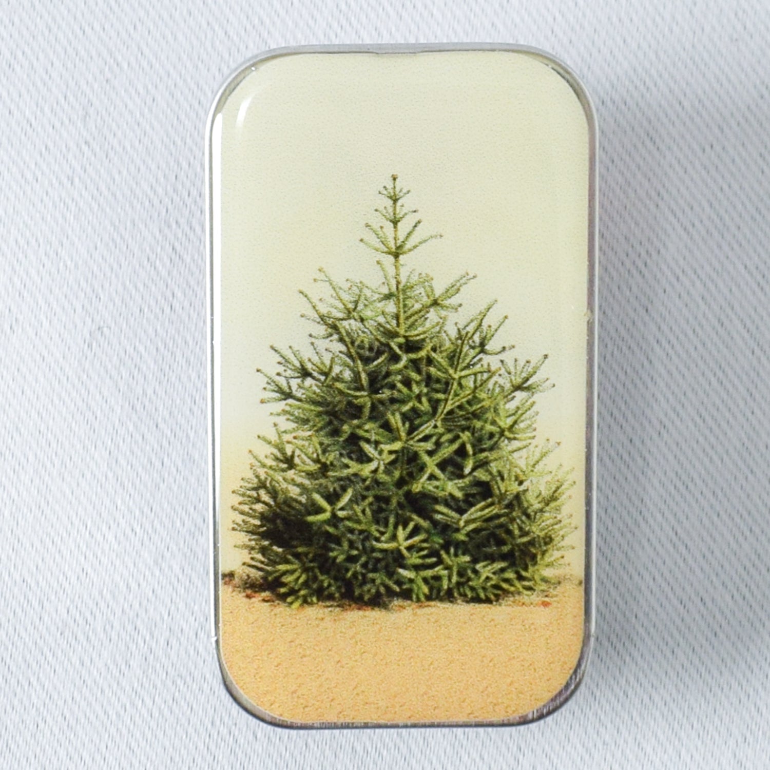 Firefly Notes Pine Tree Notions Tin - Small – Miss Babs