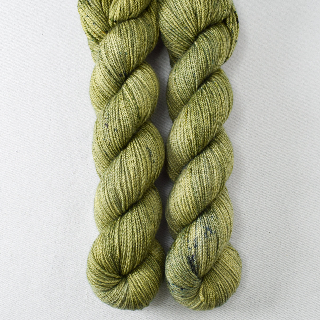 Flourishing - Miss Babs Caroline merino-cashmere-nylon yarn