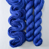 Fountain Pen - Miss Babs Yowza Mini superwash Merino wool yarn