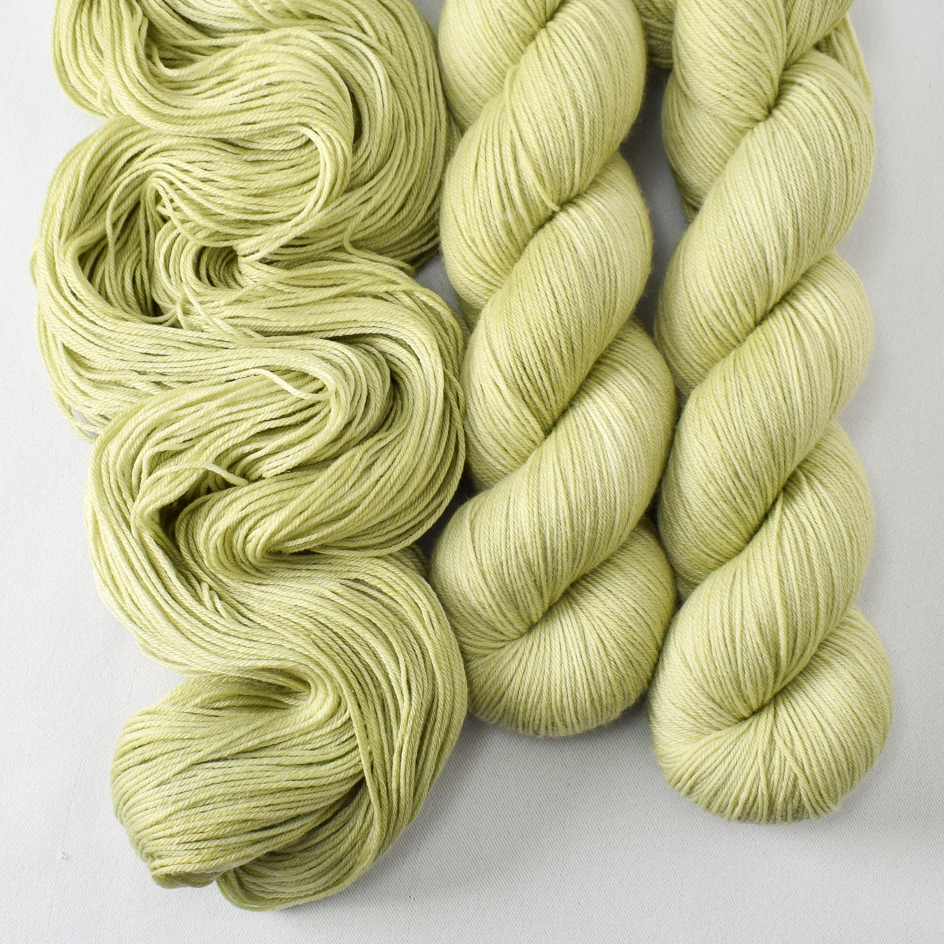 Frog Belly - Miss Babs Tarte wool blend sock yarn