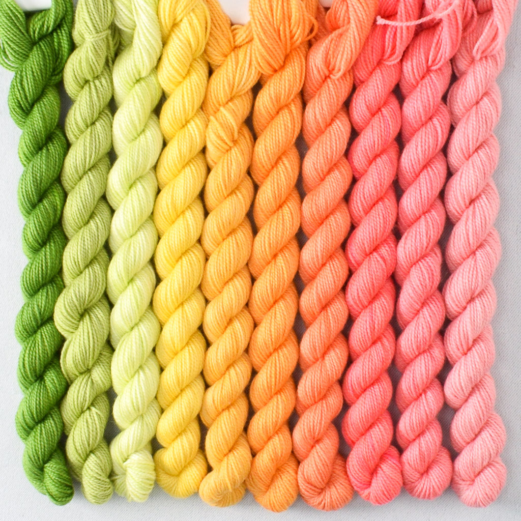 Fruit Bowl - Yummy 2-Ply Mini Bundle