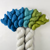 Funfetti Set: Fronds with Frozen - Miss Babs Gradient Set