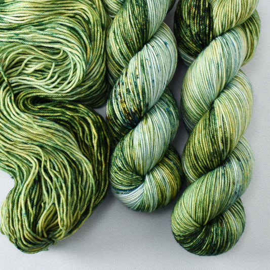 Garden Sprouts - Miss Babs Laurel Falls yarn