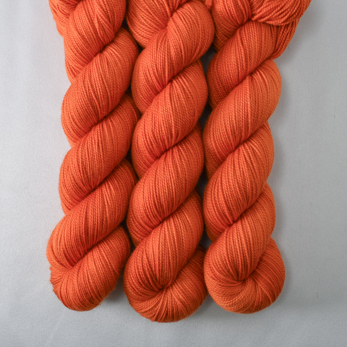 Gazania - Yummy 2-Ply