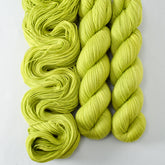 Ghoulish - Miss Babs Tarte wool blend sock yarn