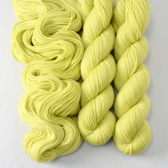 Ginkgo - Yummy 2-Ply