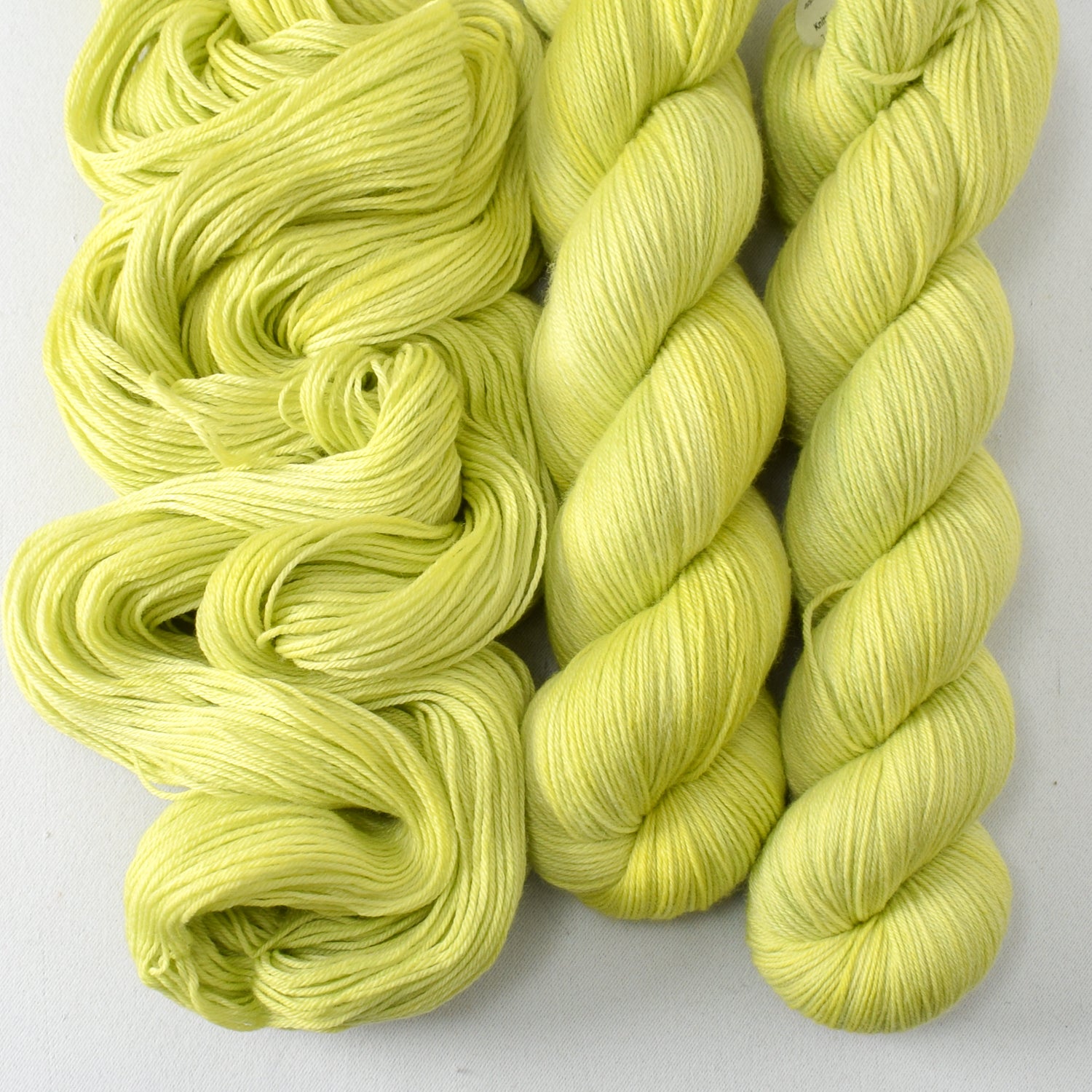 Ginkgo - Miss Babs Tarte wool blend sock yarn