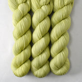 Heading Home - Miss Babs Avon yarn