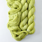 Heading Home - Miss Babs Putnam Merino wool and nylon sock yarn