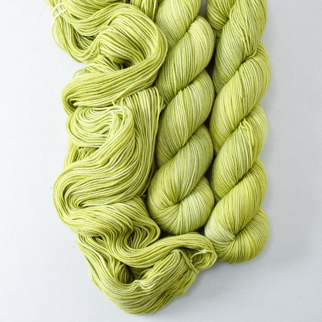 Heading Home - Miss Babs Putnam Merino wool and nylon sock yarn