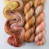 Heirloom Pumpkins - Miss Babs Yummy 2-Ply superwash Merino wool yarn