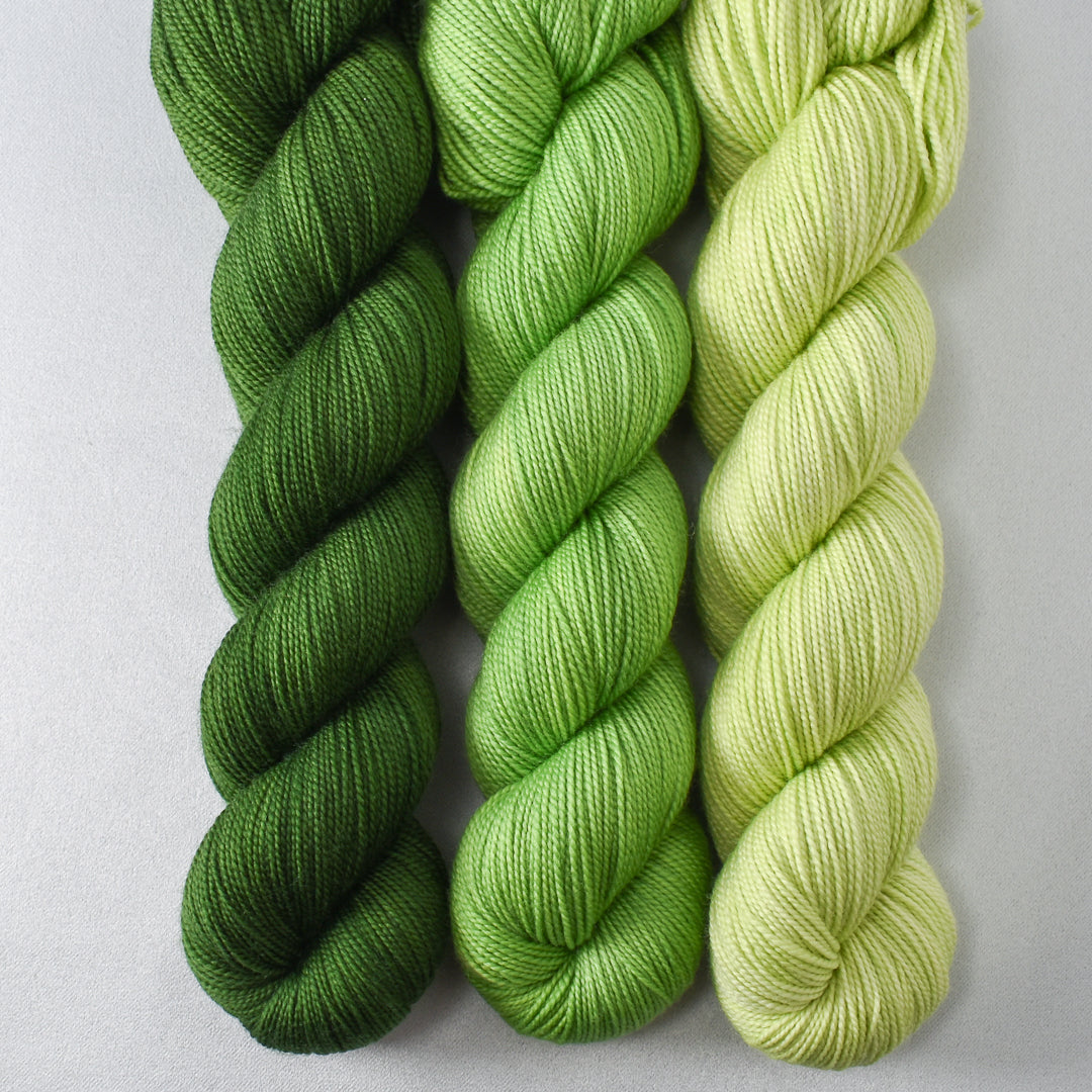 Herbalist, Allotment, and Spring Lettuce - Miss Babs Yummy 2-Ply Trio