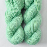 Here and Now - Miss Babs Yummy 2-Ply Toes superwash Merino wool yarn
