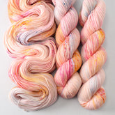 Hitchhiker's Birthday - Miss Babs Tarte yarn