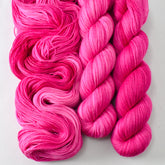Hot To Trot - Miss Babs Tarte wool blend sock yarn