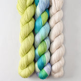 Iantha, South Beach, and Plover - Miss Babs Yet Trio