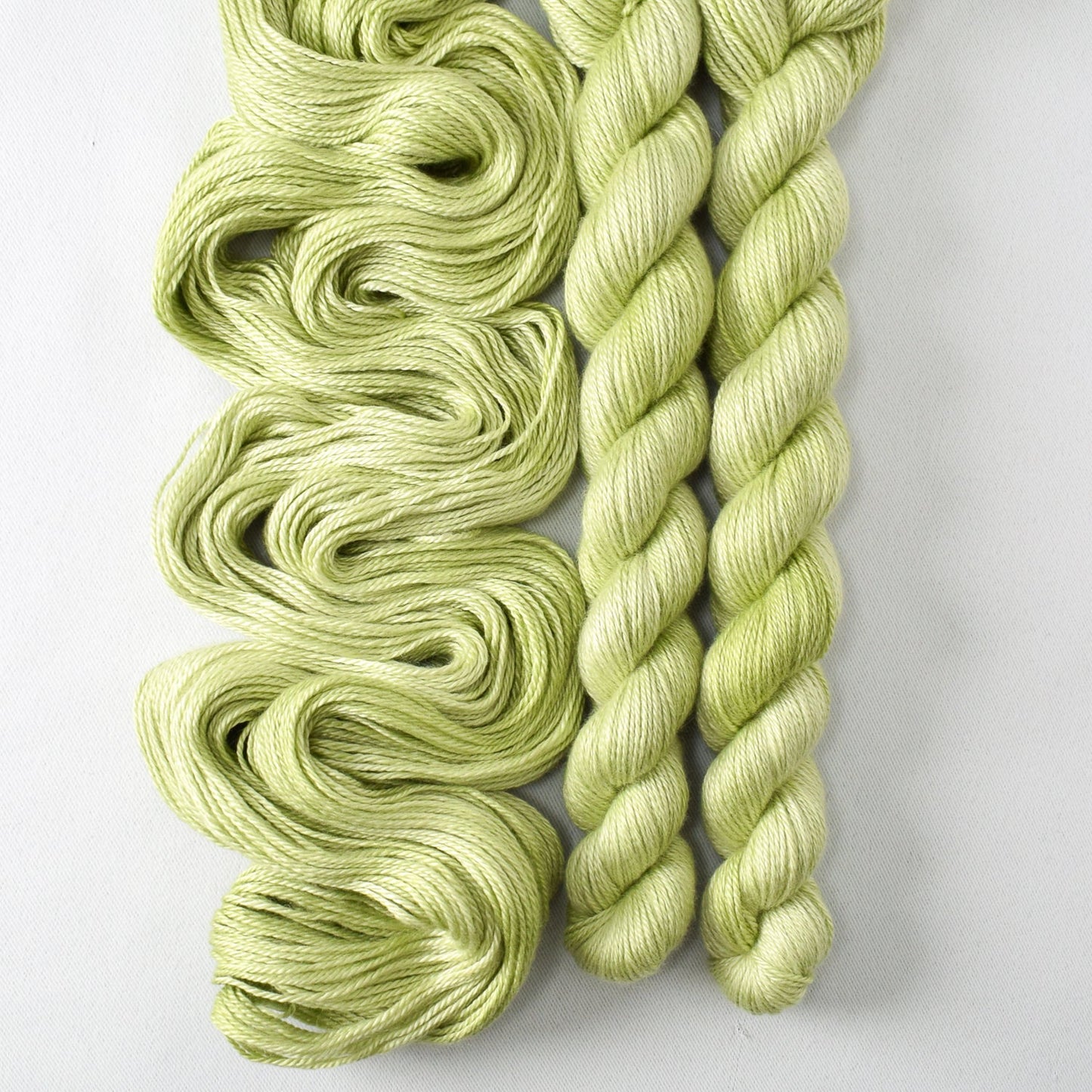 Inch Worm - Miss Babs Sojourn yarn