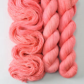 Interwoven - Miss Babs Estrellita yarn