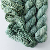 In the Meadow - Miss Babs Laurel Falls Shaniko Merino wool yarn