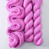 Jabbah - Miss Babs Yowza Mini superwash Merino wool yarn