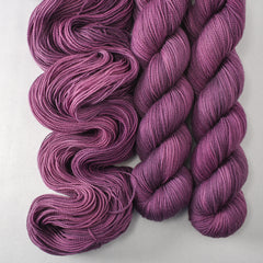 Japanese Maple - Yummy 2-Ply