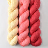 Kafka, Fun House, and Sugar Maple 1 - Miss Babs Avon Trio