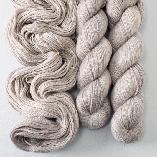 Lace Murex - Caroline