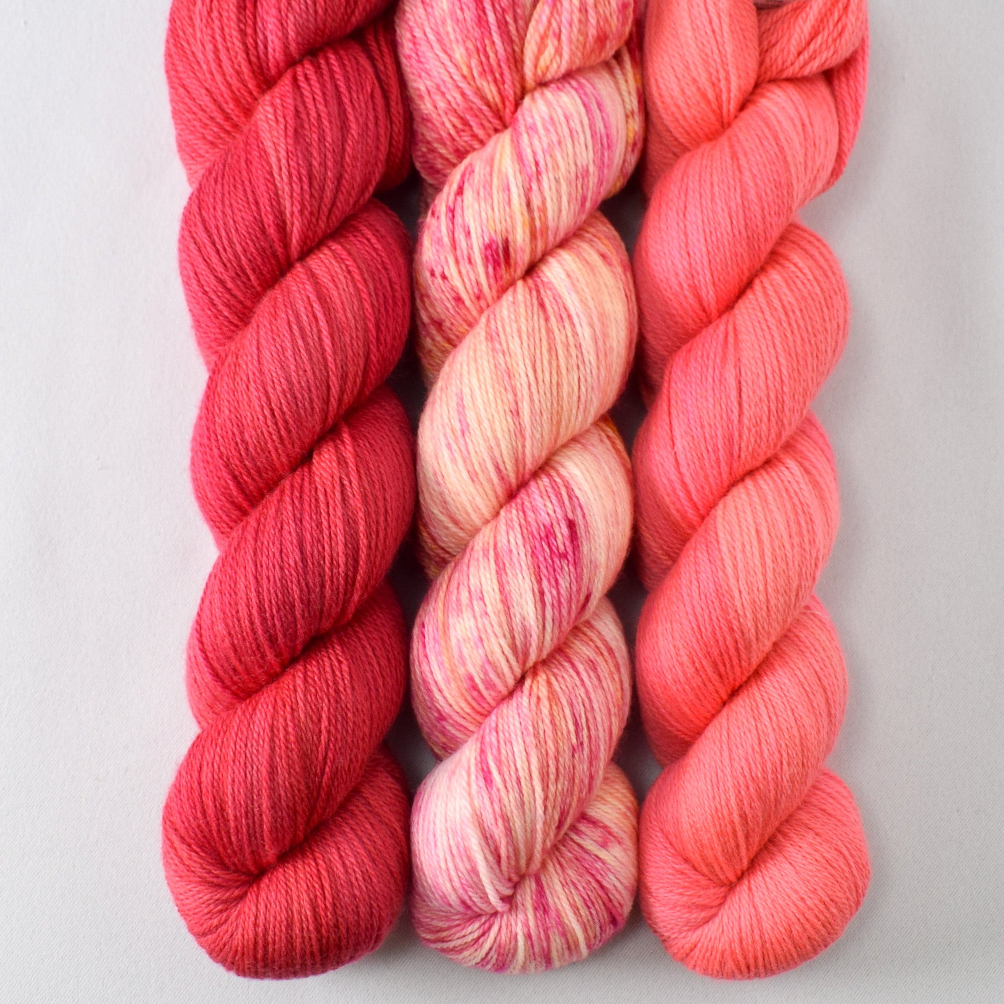 Lady Bug, Spotted Flowers, and Quince Blossom - Miss Babs Caroline Trio