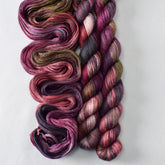 Land of the Sky - Miss Babs Sojourn yarn