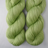 Leaping Lizard - Yowza - Wild Iris