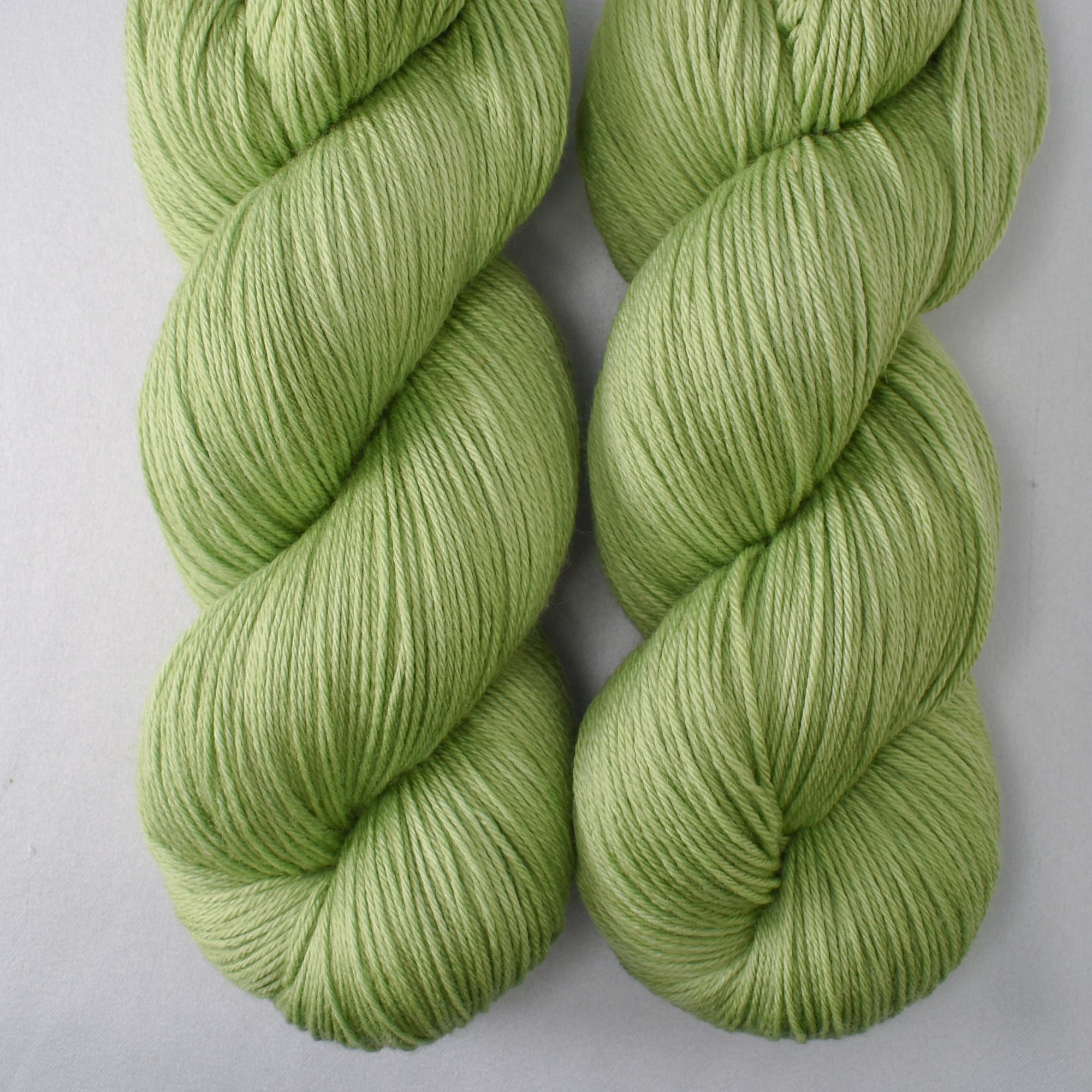 Leaping Lizard - Yowza - Wild Iris
