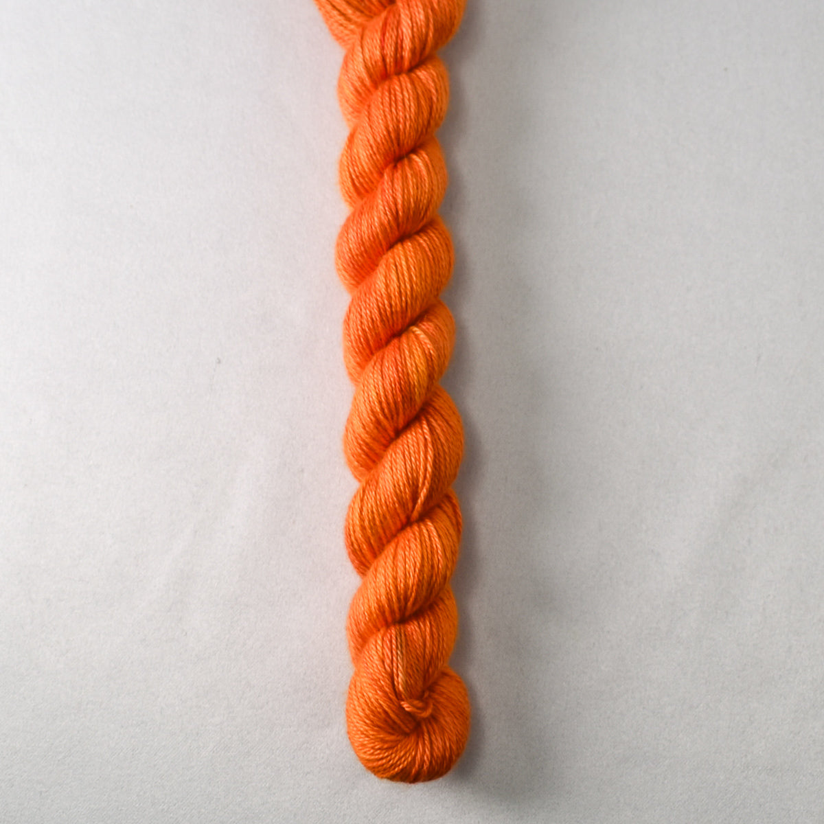 Leo - Miss Babs Sojourn yarn