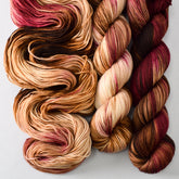 Light Chocolate Roses - Miss Babs Yummy 2-Ply superwash Merino wool yarn