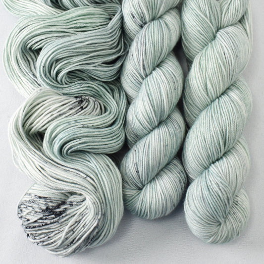 Linnet - Laurel Falls - Babette