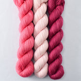 Lotus, Sugar, Zinfandel - Miss Babs Yowza Mini Trio