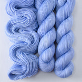 Magic Elixir - Miss Babs Tarte wool blend sock yarn