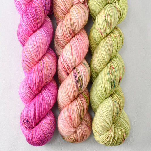 Make Believe, Flower Boxes, and Wandflower - Miss Babs Yummy 2-Ply Trio