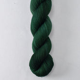 Marley - Miss Babs Putnam yarn