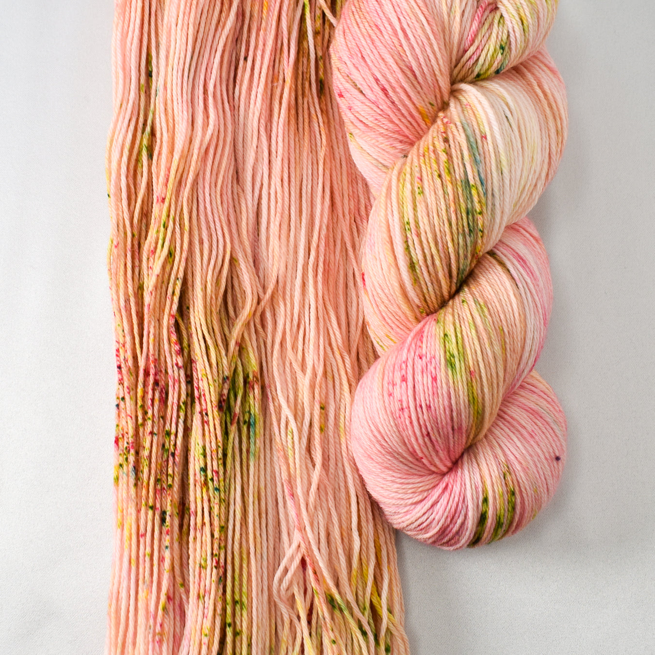Mellow Apricot - Miss Babs Yowza yarn