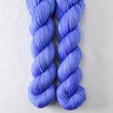 Morning Glory - Miss Babs Caroline merino-cashmere-nylon yarn