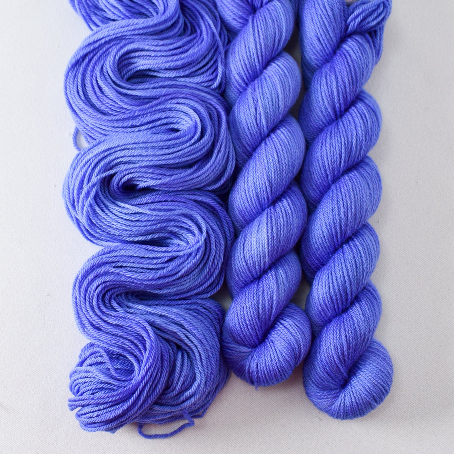 Morning Glory - Miss Babs Yowza Mini superwash Merino wool yarn