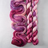 Mountain Laurel - Miss Babs Sojourn yarn