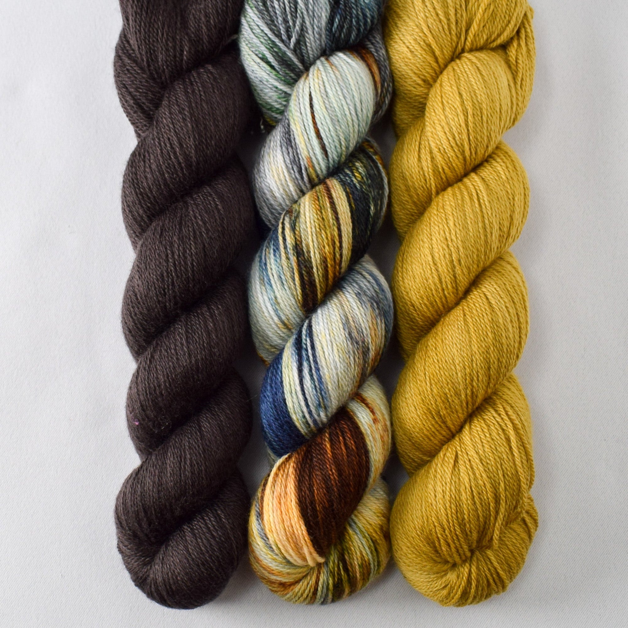 Muddy Puddle, Coffee Break, and Antique Brass - Miss Babs Caroline Trio