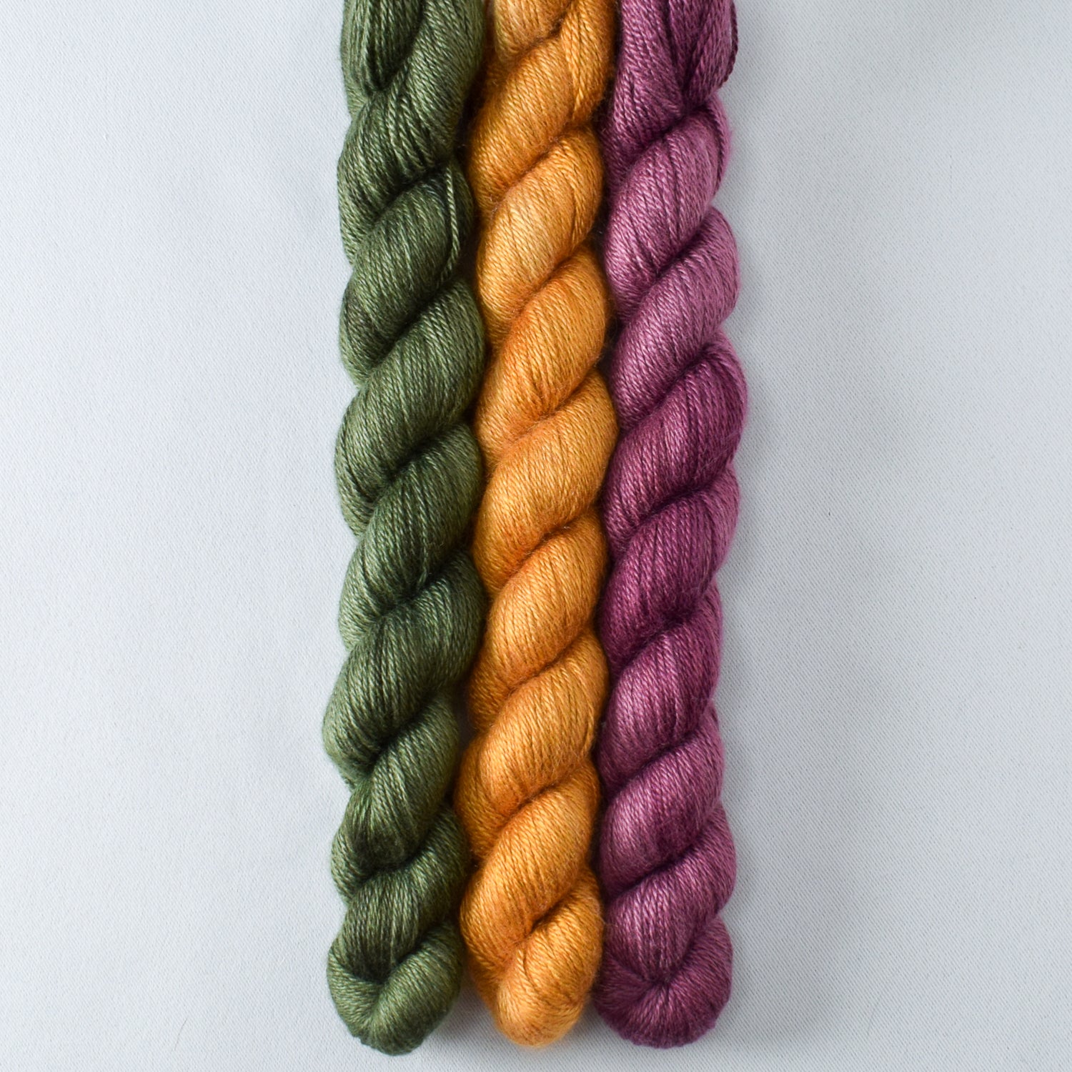 Nori, Old Gold, Plum - Miss Babs Sojourn Trio