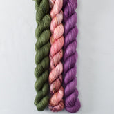 Nori, Sweater Weather, and Spiked Punch - Miss Babs Sojourn Trio