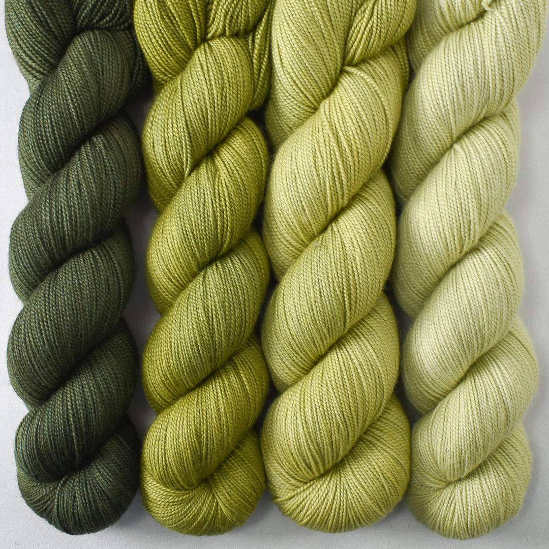 Nori, Thyme, Snakehead, and Frog Belly - Miss Babs Avon Quartet