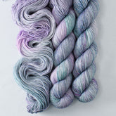 Officer of the Paw - Miss Babs Estrellita fingering weight superwash merino and Lurex yarn