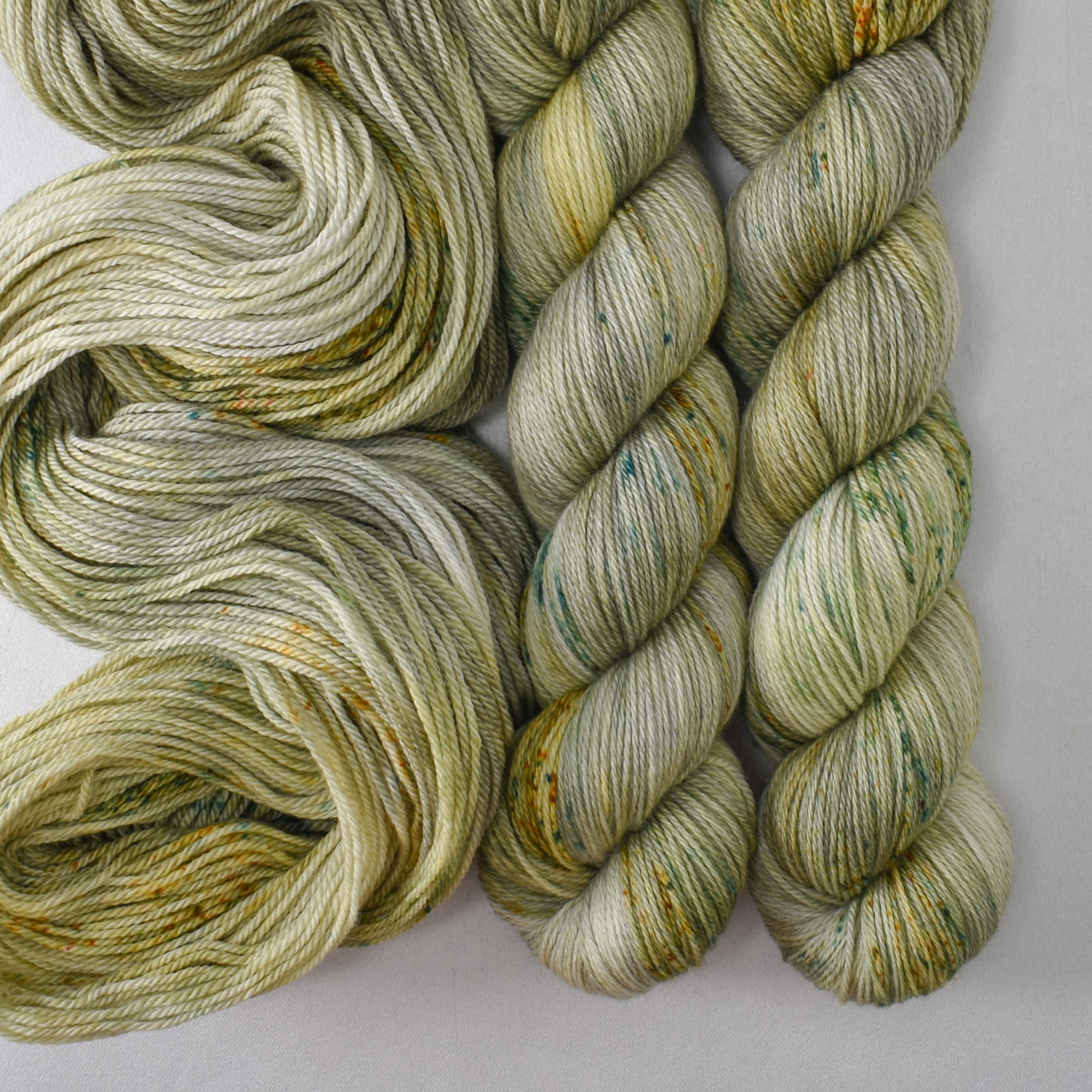 Off the Charts - Miss Babs Caroline yarn