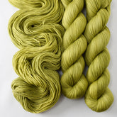 Oregano - Miss Babs Yummy 2-Ply superwash Merino wool yarn